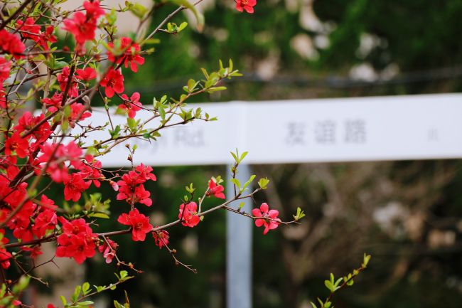 花径春声+51255400078+王越+18835188089.jpg