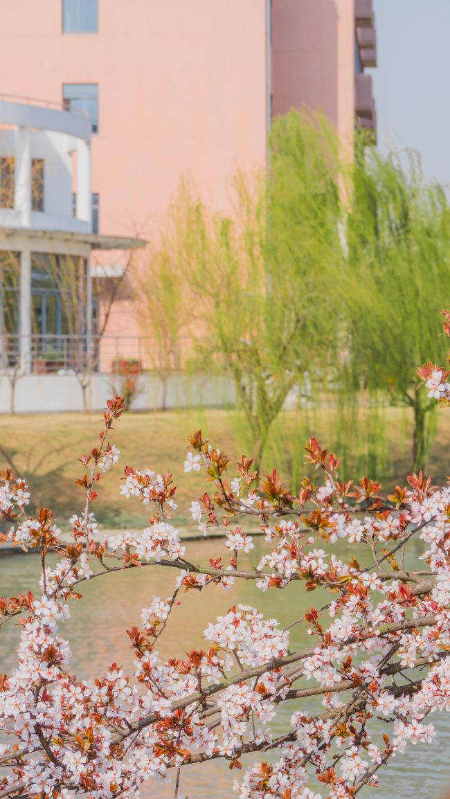 春景-10191170438-邹明慧-18774456125.jpg